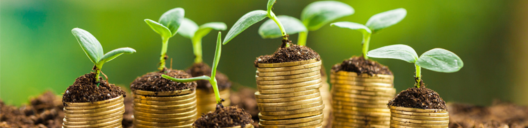 Agriculture loan